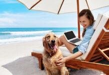 Frau arbeitet entspannt mit Hund und Laptop am Strand