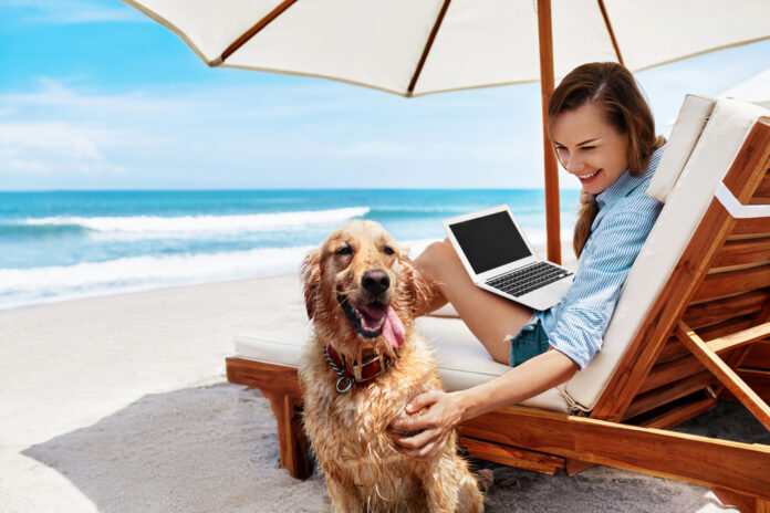 Frau arbeitet entspannt mit Hund und Laptop am Strand