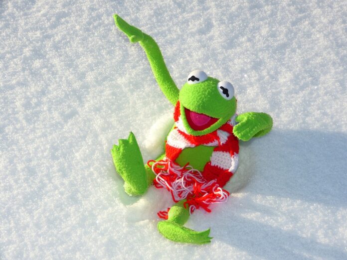 Kermit im Schnee