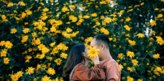 Liebe versteckt hinter Sonnenblumen