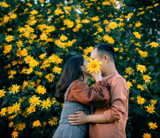 Liebe versteckt hinter Sonnenblumen