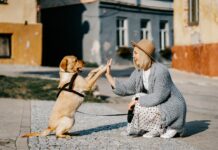 junge Frau hat eine wundervolle Beziehung zu ihrem Hund