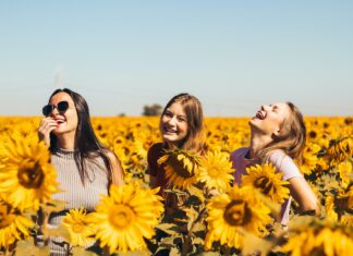 3 glückliche junge Frauen stehen in einem Sonnenblumenfeld und lachen