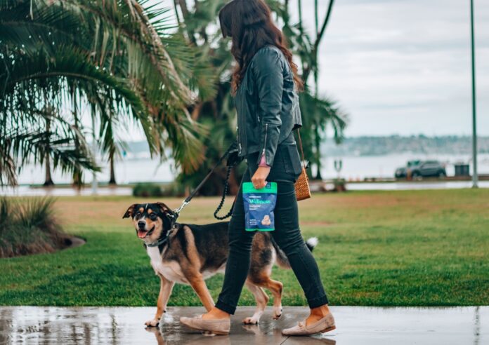 Frau und Hund beim Spazierengehen an der Promenade