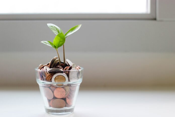 ein Glas mit Kleingeld aus dem eine Pflanze wächst