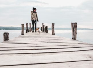 Frau in herbstlicher Kleidung geht mit einem kleinen Hund am See spazieren